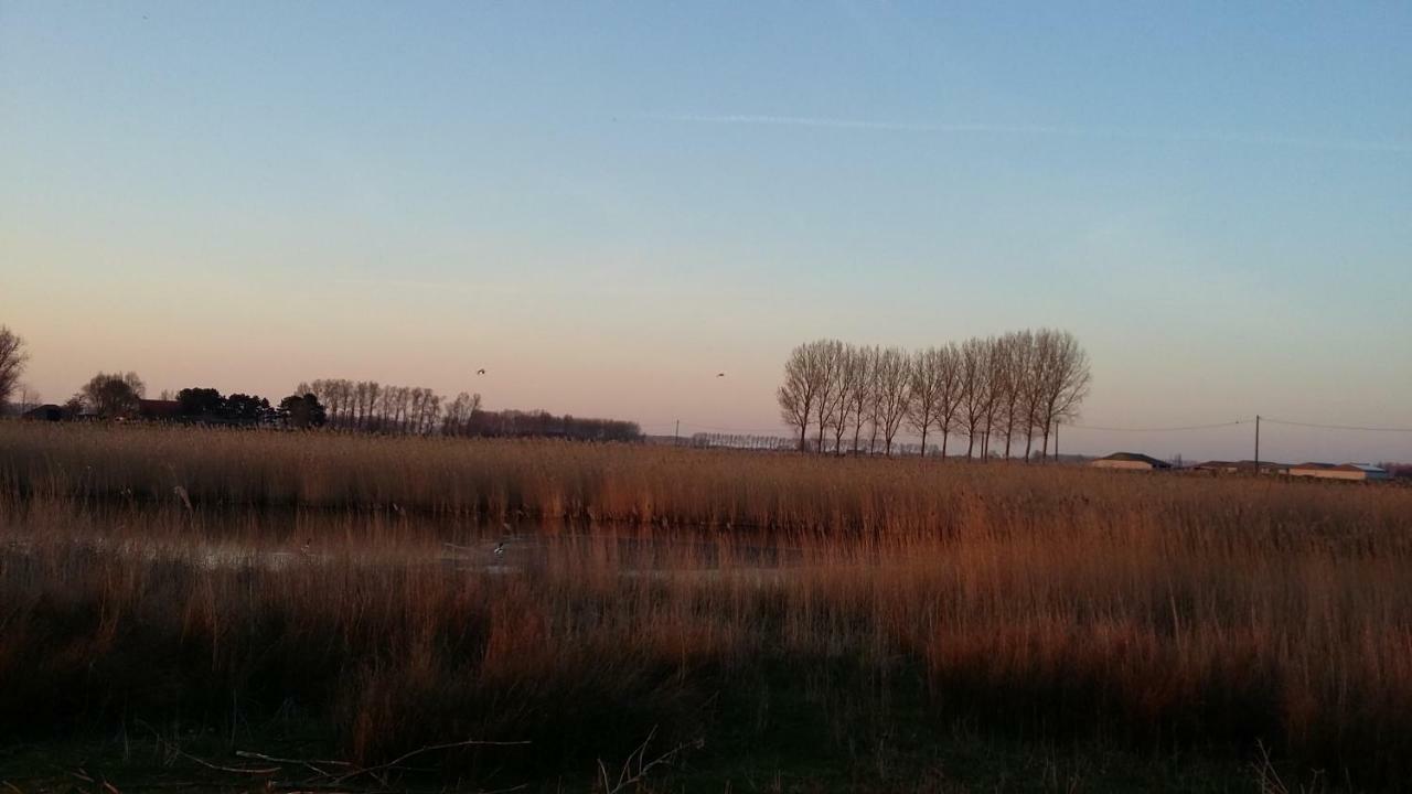 Sint-MargrieteDe Molenkreek别墅 外观 照片