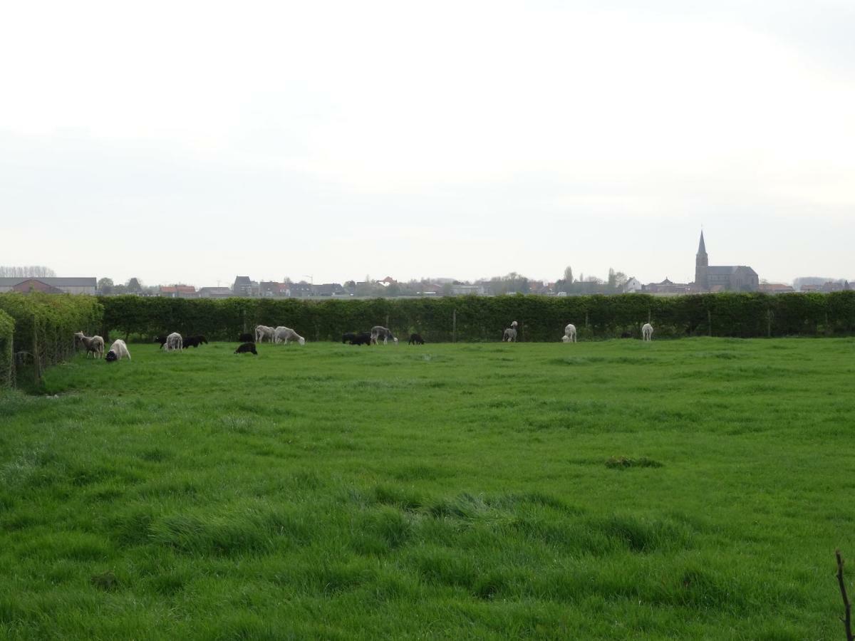 Sint-MargrieteDe Molenkreek别墅 外观 照片