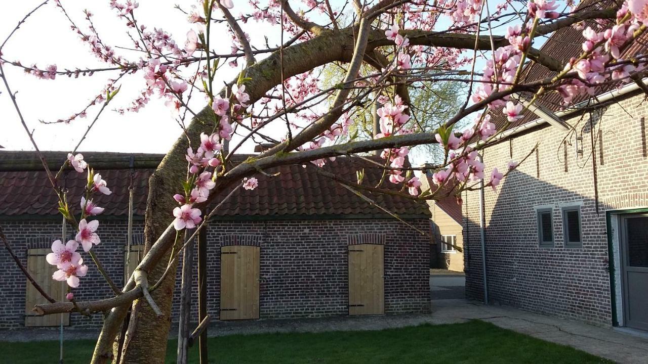Sint-MargrieteDe Molenkreek别墅 外观 照片